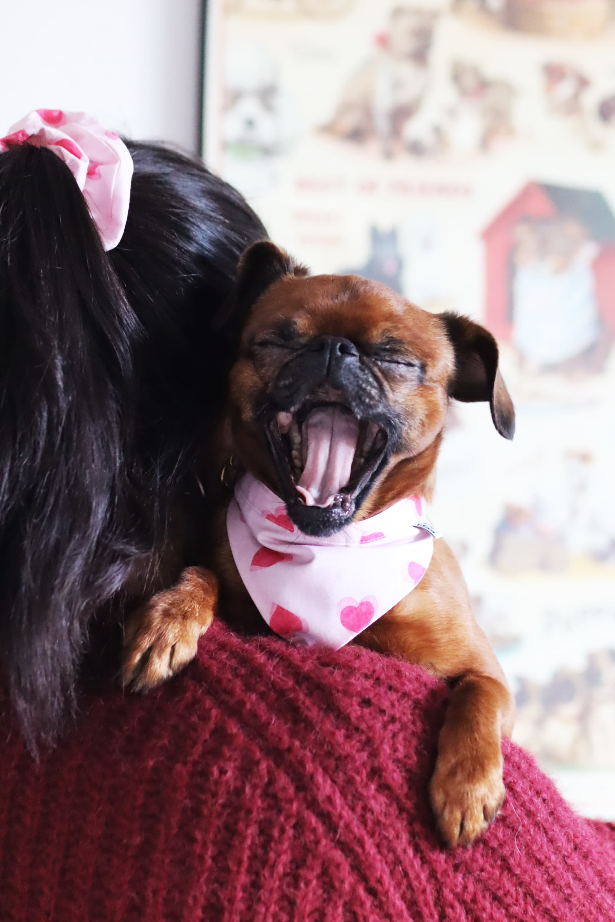 Chouchou Matchy Darling